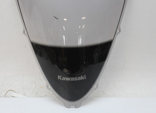 Scheibe Windschild Kawasaki ZZR 1400