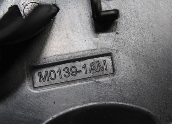 Hinterradschwinge Buell 1125 R