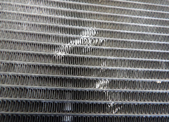 Kuhler Kawasaki Z 1000