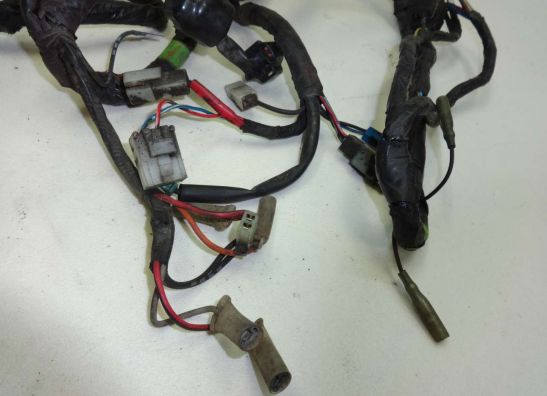 Wire Harness Yamaha XJ 900 S Diversion
