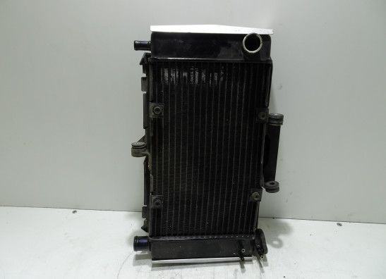 Radiator Yamaha FZ6