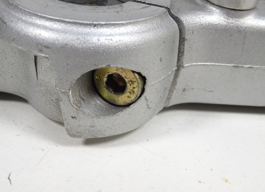 Kroonplaat Ducati monster 600