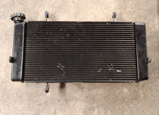 Radiateur Suzuki DL 1000 V STROM
