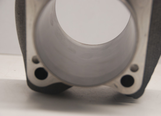 Cilinderblok Harley Davidson Softtail