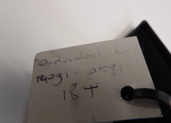 Seitenverkleidung links klein Kawasaki Z 1000