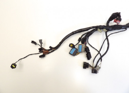 Kabelbaum Kawasaki Z 750