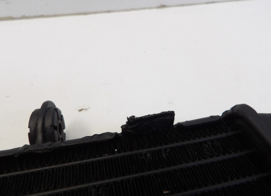 Radiator Suzuki DL 1000 V STROM