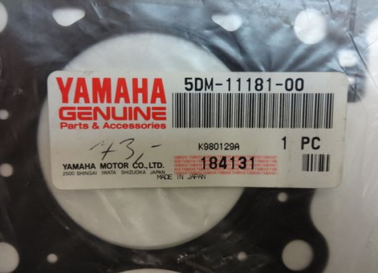 Dichtung Yamaha FAZER 600