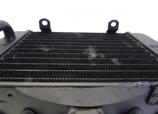 Kuhler Honda TRANSALP