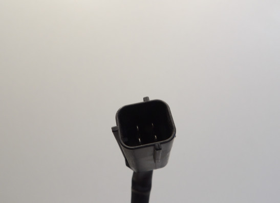 Lambdasonde Benelli TRK 502 X