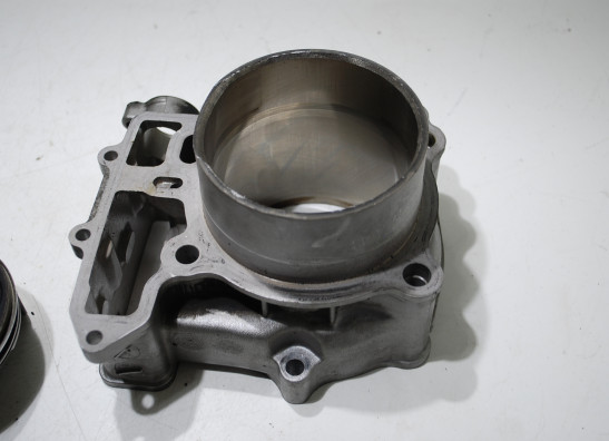 Zylinder Suzuki SV 1000