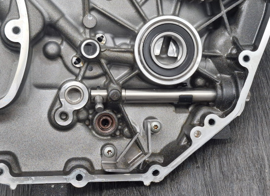 Engine cover BMW R 1300 GS