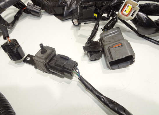 Kabelbaum KTM 1290 Super duke