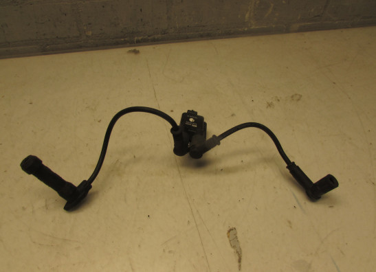 Bobine Ducati Multistrada 1000