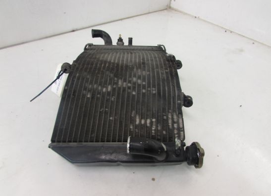 Radiateur Honda CBR 600 F