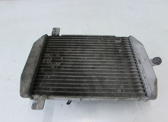 Radiateur Suzuki Burgman 400