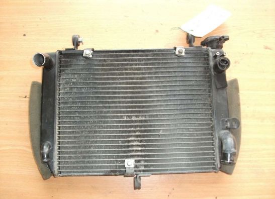 Radiateur Yamaha YZF R6
