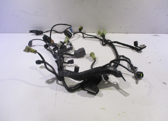 Wire Harness KTM 1290 Super duke