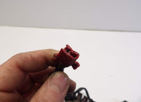 Dynamo Kawasaki ER 5