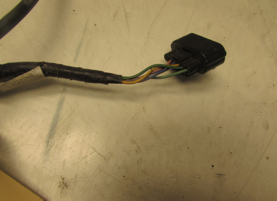 Kabelbaum vorne Honda CB 600 F