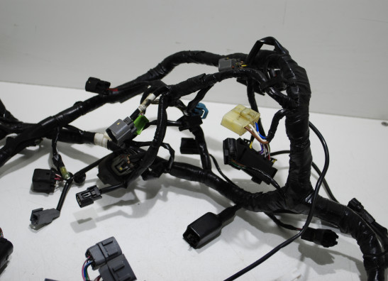 Wire Harness Kawasaki Ninja 300