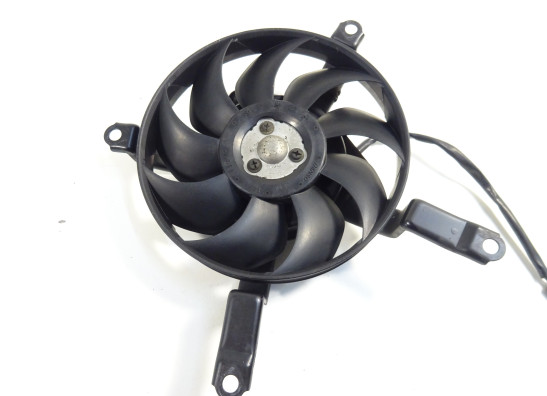 Fan Yamaha TDM