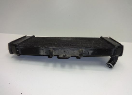Radiator Yamaha FAZER 600
