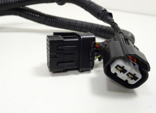 Kabelbaum Honda CBR 600 RR