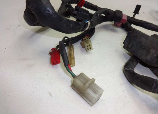 Kabelboom Honda CBR 1000 F