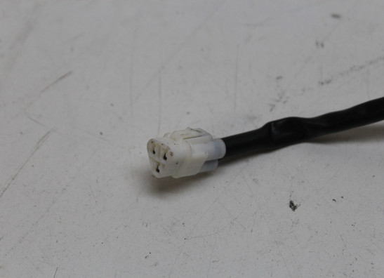 Achterlicht Yamaha XSR 900