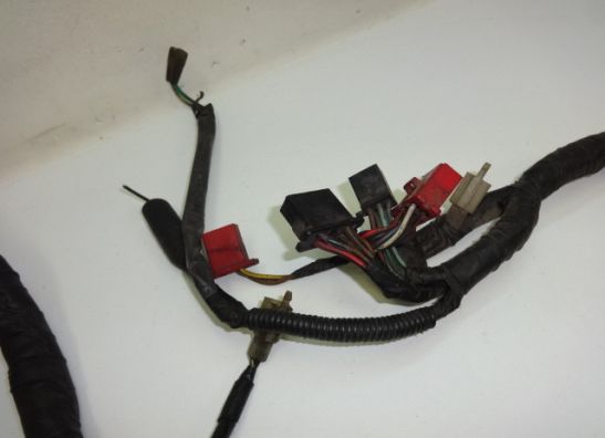 Kabelboom Honda CBX 750 F