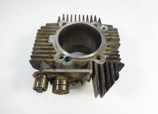 Cilinderblok Ducati Monster 695