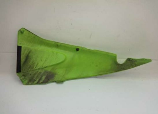 Seitenverkleidung rechts klein BMW F 650