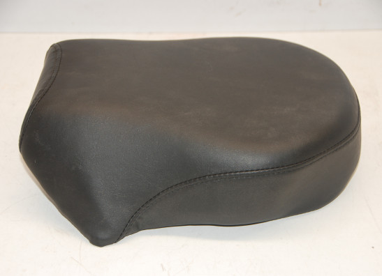 Buddy zadel Harley Davidson Sportster