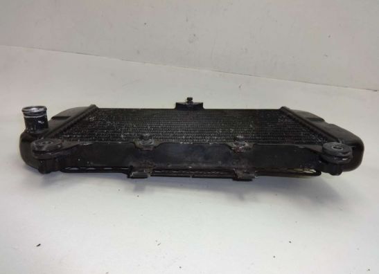 Kuhler Kawasaki ZZR 600