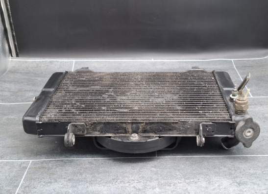 Radiator Yamaha FZR 1000