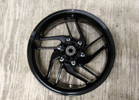 Achtervelg Ducati Monster 797