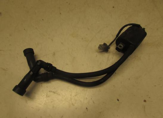 Bobine Yamaha FJ 1200