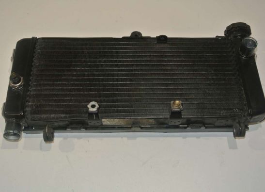 Kuhler Honda CBF 600