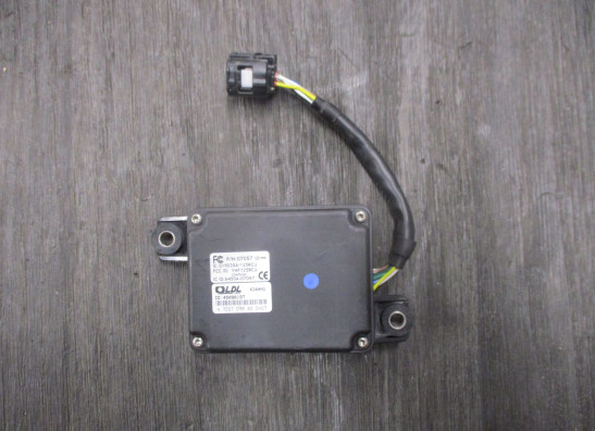 Relay Triumph Speed Twin 1200