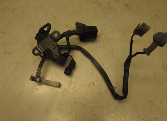 Kabelboom voor Honda ST 1100 Pan European