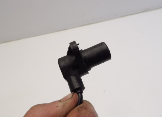 Motorblok diverse Ducati Scrambler Desert Sled