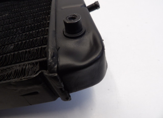 Kuhler Honda TRANSALP