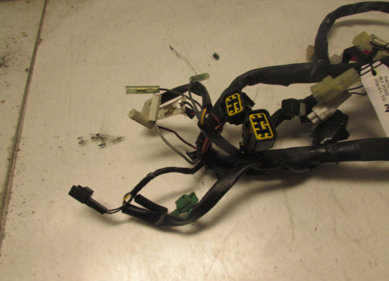 Kabelboom Yamaha FAZER 600