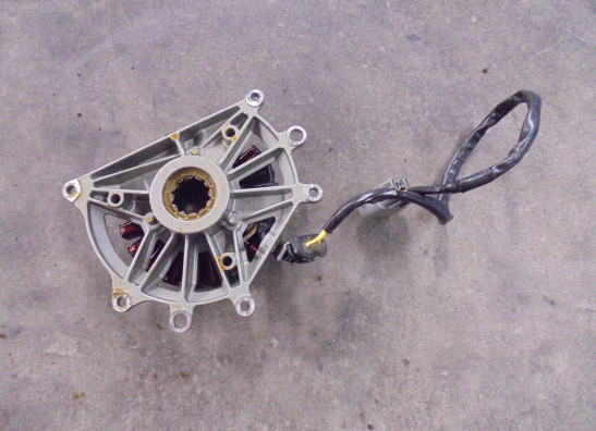 Lichtmaschine BMW R 1250 GS Adventure