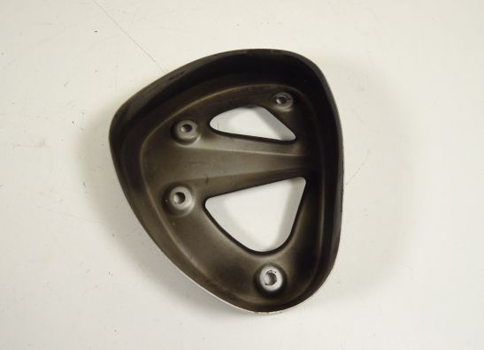 Uitlaat Kawasaki Z 750