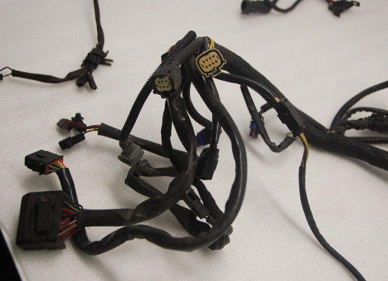 Kabelboom Harley Davidson VROD VRSC