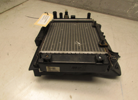 Kuhler Kymco People S 300i