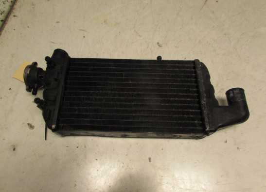 Kuhler BMW K 1200 RS