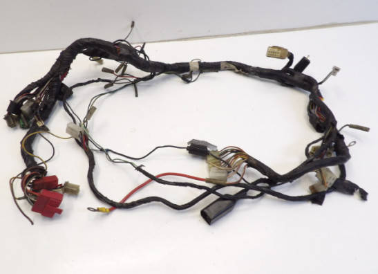 Wire Harness Kawasaki GPZ 900